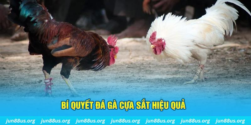 halo88 xổ số miền bắc thứ ba hàng tuần