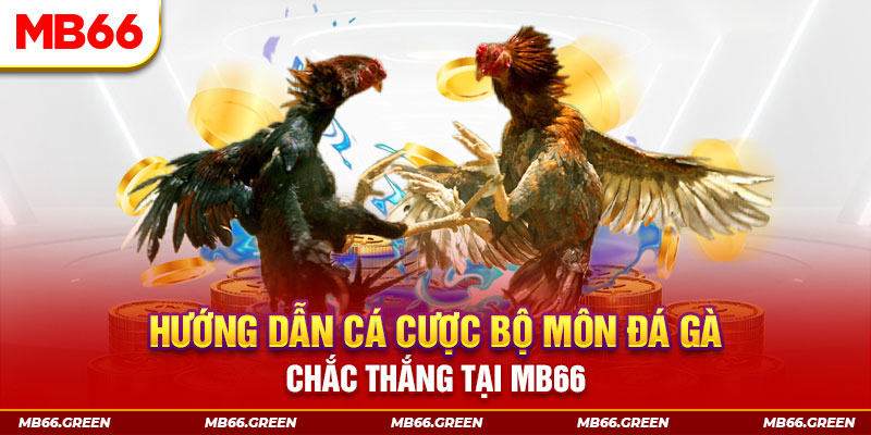 halo88 xổ số miền nam hôm nay