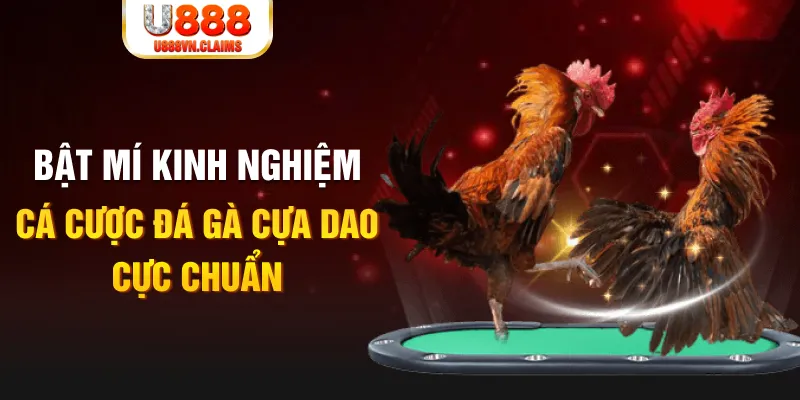 halo88 casino hồ tràm có cho người việt vào không
