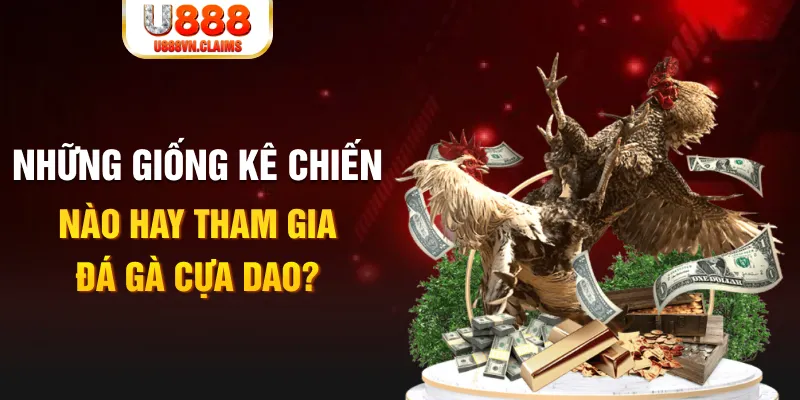 halo88 BG Trực Tuyến