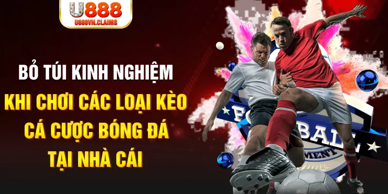 halo88 trực tiếp xổ số miền nam