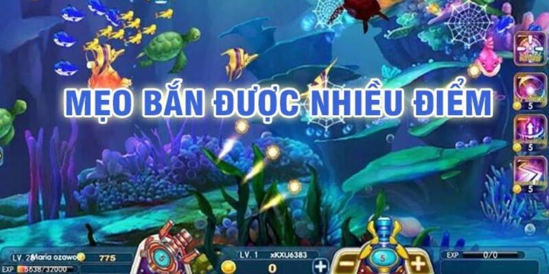 halo88 baccarat có lừa đảo không