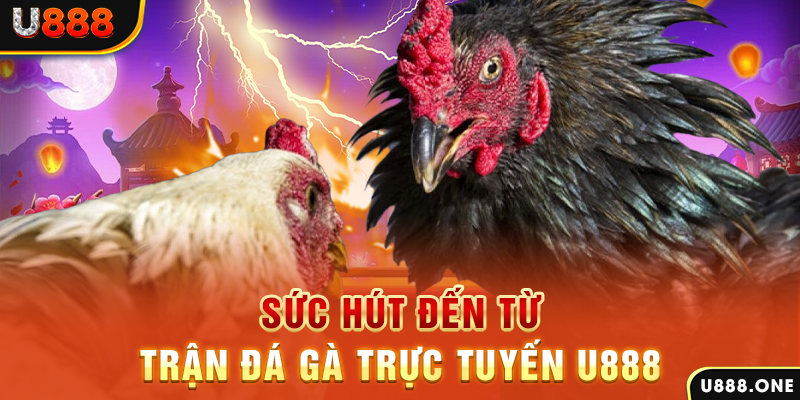 halo88 đăng nhập poker 2024