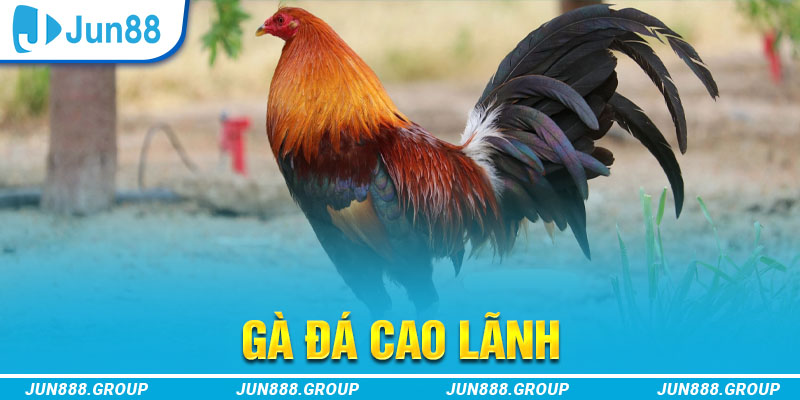 halo88 tai game vua bai ve may tinh