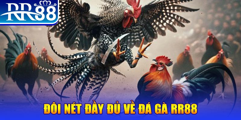 halo88 bắn cá h5