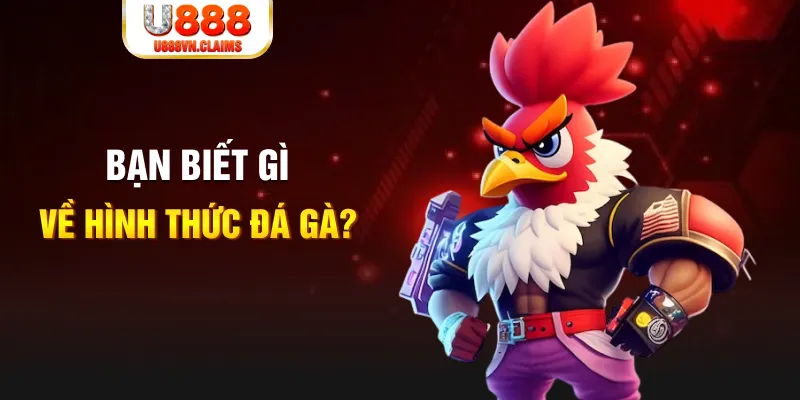 halo88 đăng nhập liêng tặng tiền