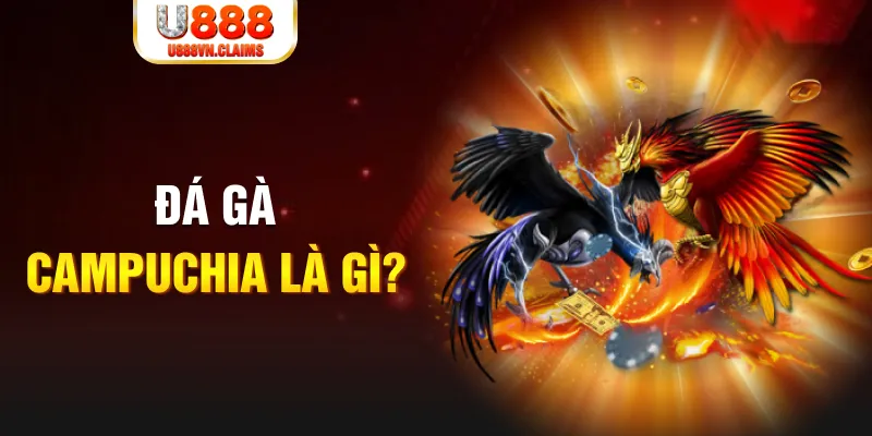halo88 what is the best online casino for real money