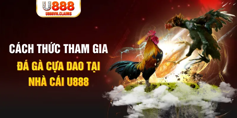 halo88 đá gà 88.com