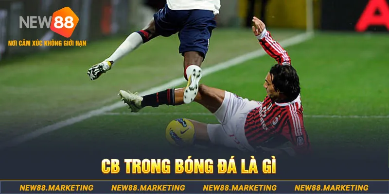 halo88 DG Trực Tuyến