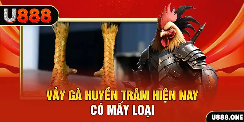 halo88 đăng nhập nổ hũ miễn phí