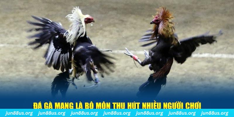 halo88 đăng nhập sòng bạc số 1