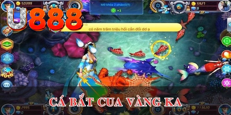 halo88 xo so mien nam