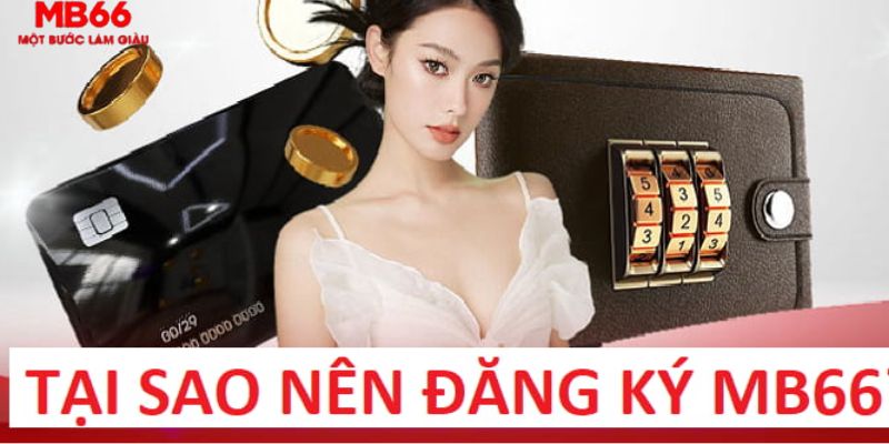 halo88 trực tiếp gà chọi c1