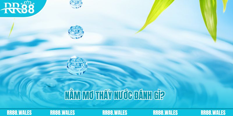 halo88 xổ số trực tiếp miền bắc