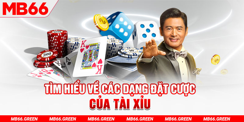 halo88 what is a casino loyalty program