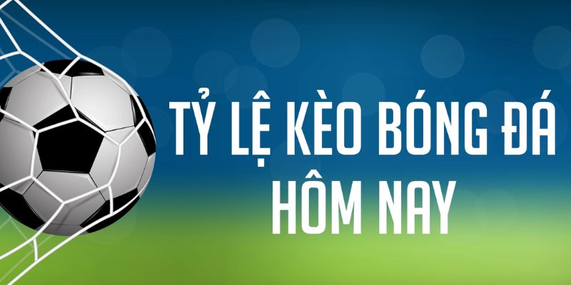 halo88 đăng nhập phỏm