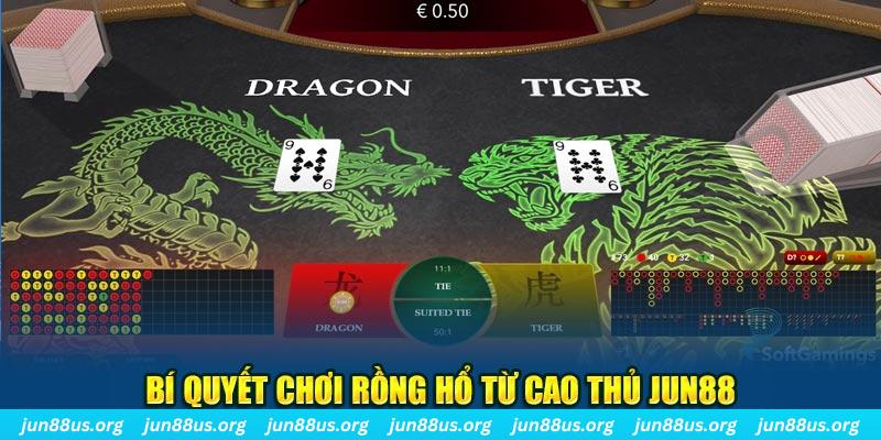 halo88 đăng nhập nổ hũ