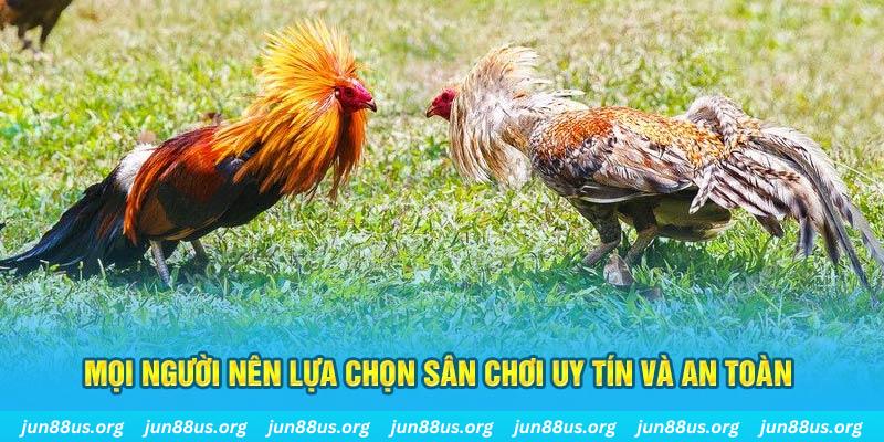 halo88 đăng nhập poker 2025