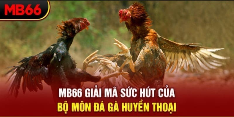 halo88 xổ số đài bắc
