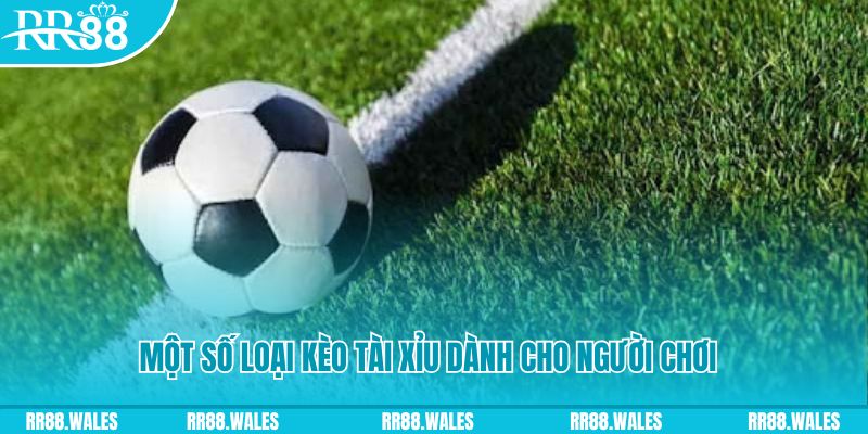 halo88 slot nghĩa là gì