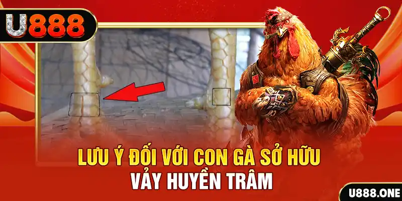 halo88 tải game đánh bài tiến lên miền nam về máy tính