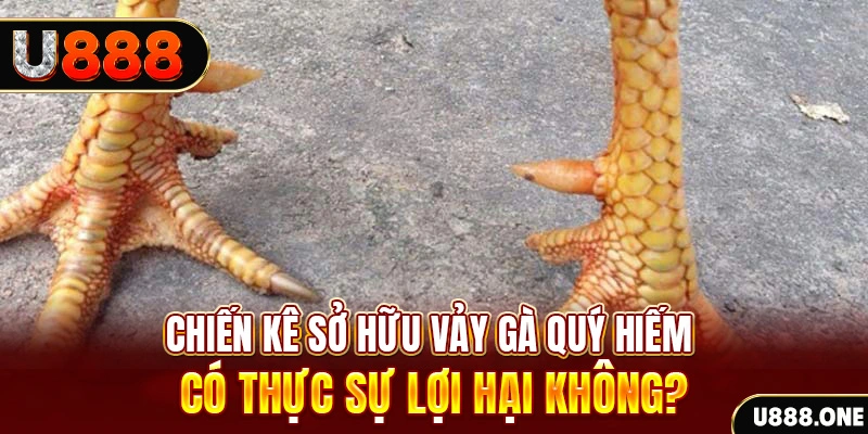 halo88 xổ số miền trung