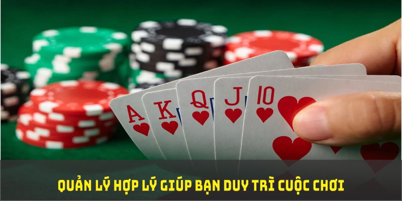 halo88 đá gà trực tiếp thomo 67