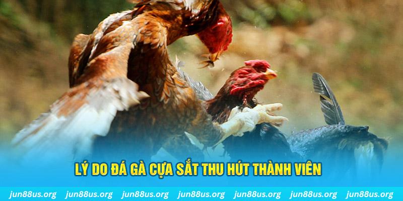 halo88 nổ hũ ăn bao nhiêu