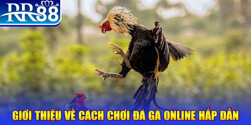 halo88 EvoPlay Điện Tử