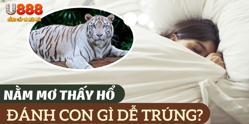 halo88 nohu .mx nổ hủ là gì