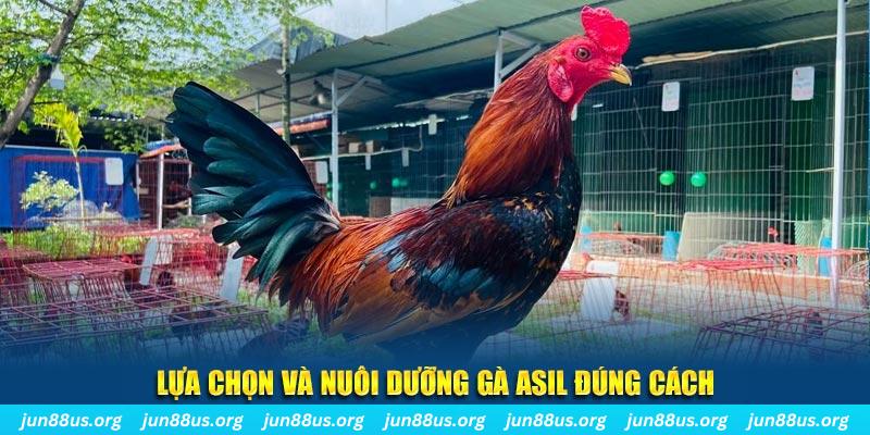 halo88 nổ hũ thần tài là gì