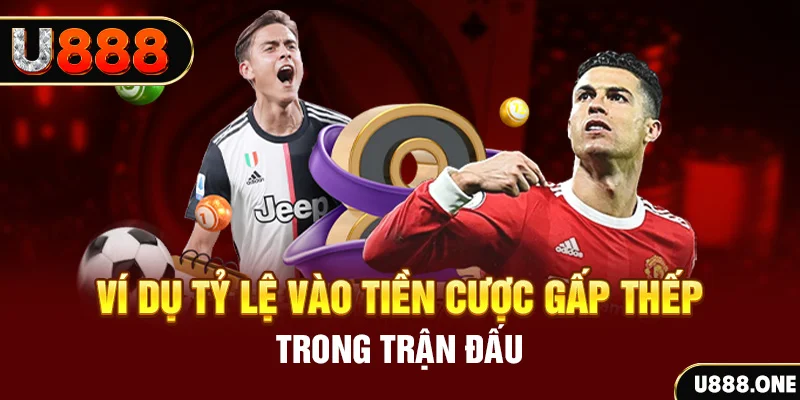 halo88 ga choi c1