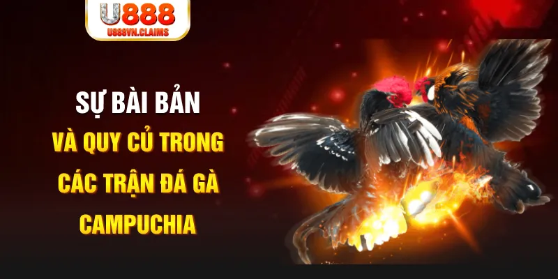 halo88 game xếp bài trên máy tính