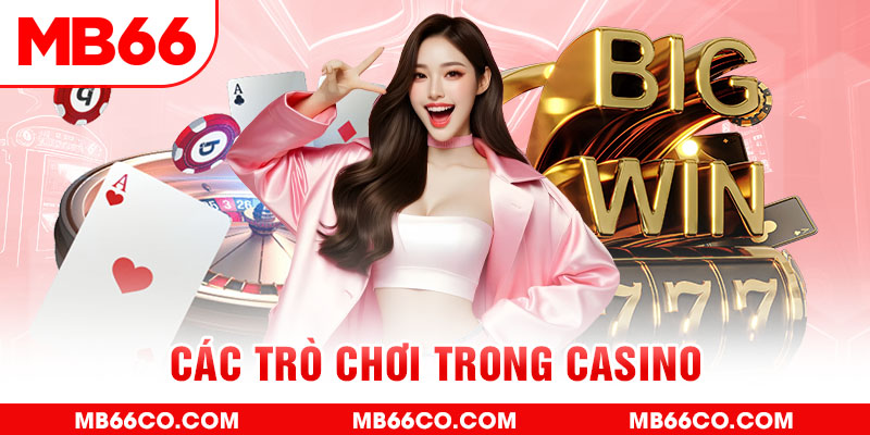 halo88 chổi lông gà
