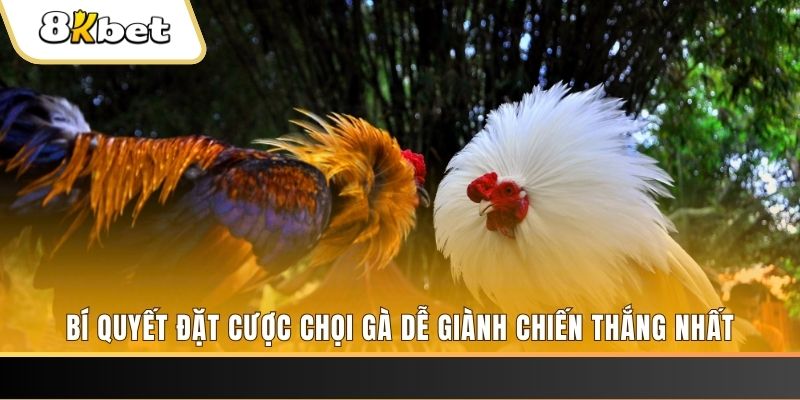 halo88 nổ hũ chơi như thế nào