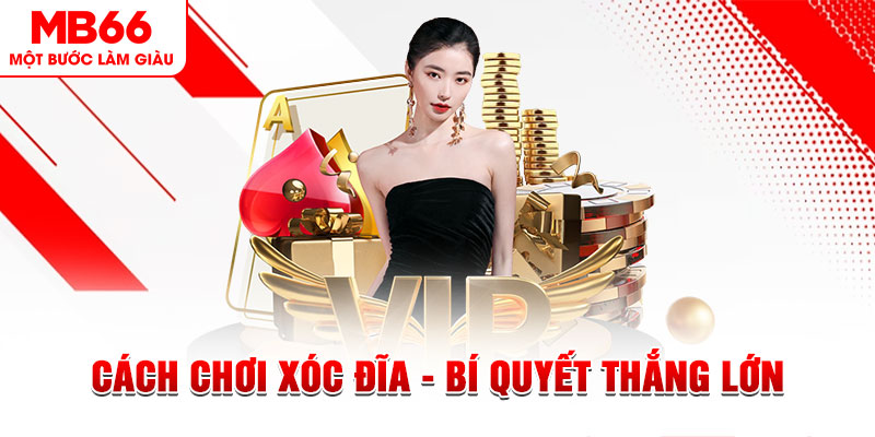 halo88 Đĩa màu ace