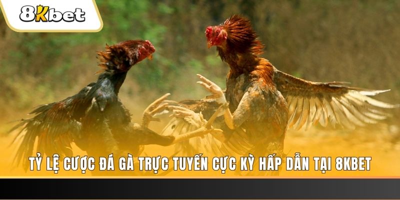 halo88 xổ số miền bắc chủ nhật