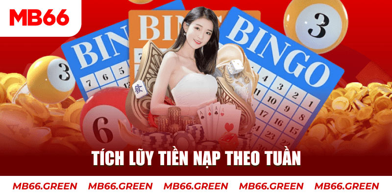 halo88 Trăm người Bo tám Bo chín