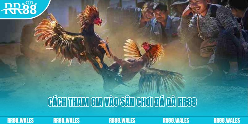 halo88 nổ hũ 500m là gì