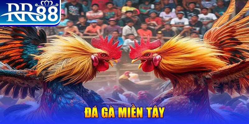 halo88 đăng nhập liêng đổi thưởng