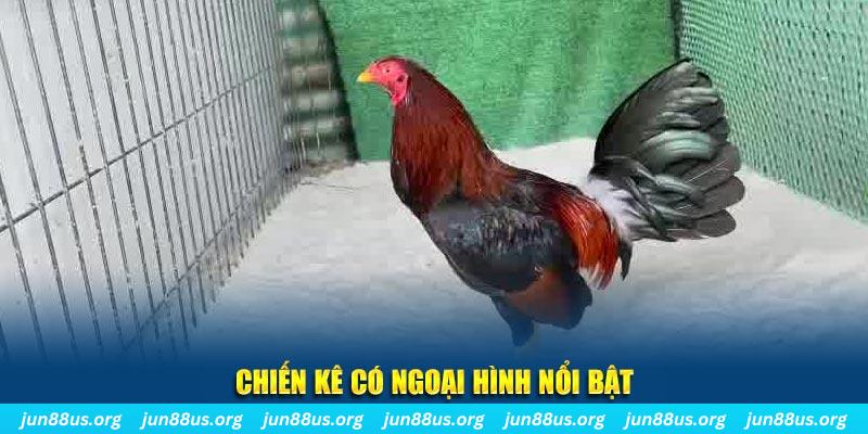 halo88 qq88 bắn cá