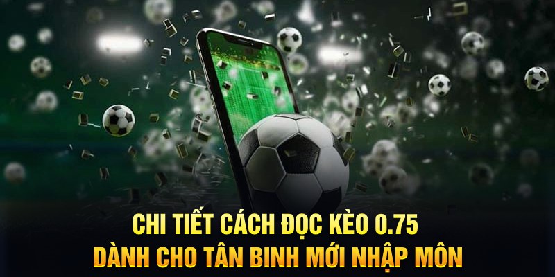 halo88 Xì tố