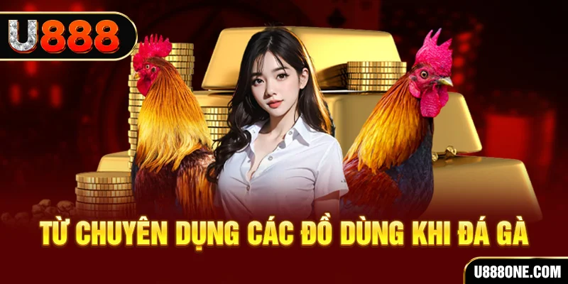 halo88 đăng nhập poker trực tiếp