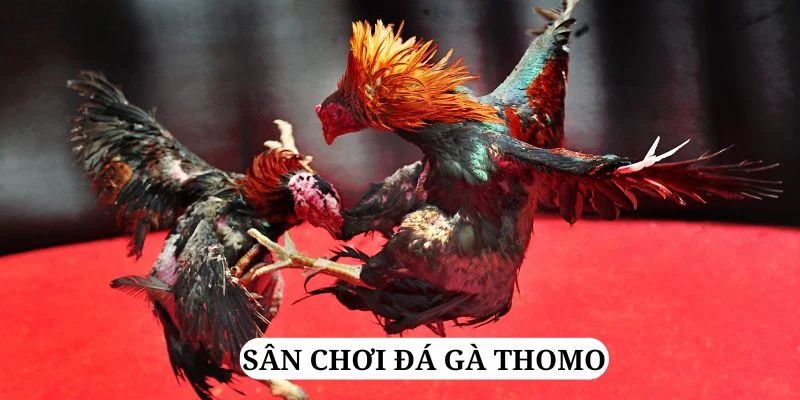 halo88 quay nổ hũ là gì